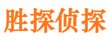 纳溪侦探公司